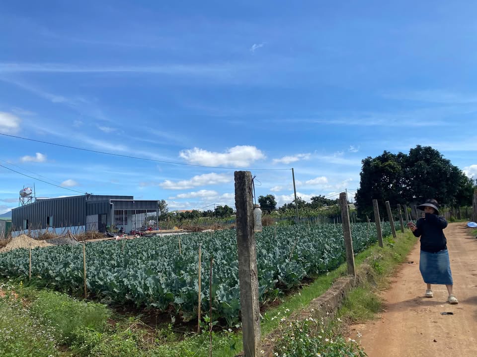 Lô đất 2 mặt tiền tại Đức Trọng, Lâm Đồng - Giá 935 triệu, cơ hội đầu tư hấp dẫn!