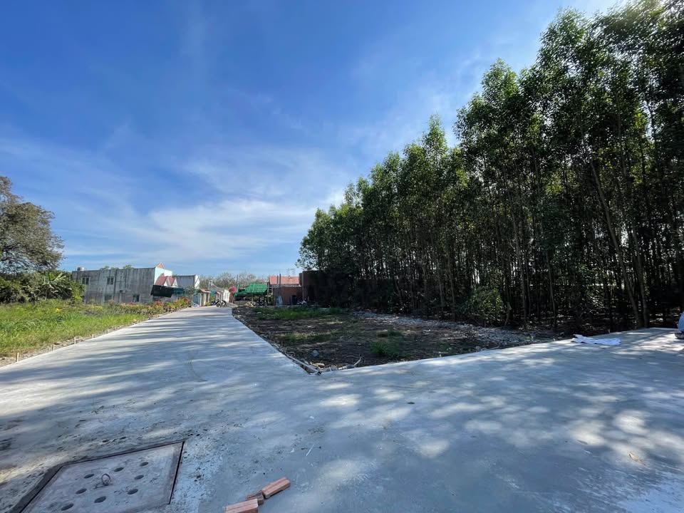 Đất nền Tân Triều, Đồng Nai 85m² giá chỉ 400 triệu - Sổ đỏ riêng