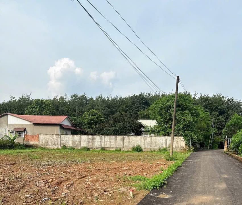 Đất thổ cư An Viễn Trảng Bom 140m² chỉ 800 triệu - Sổ đỏ chính chủ