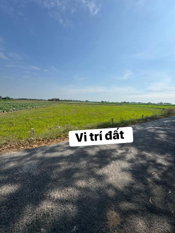 Đất nền Ấp Xóm Lò, Xã Bến Cầu, 250m² giá 425 triệu - Sổ hồng riêng từng lô!