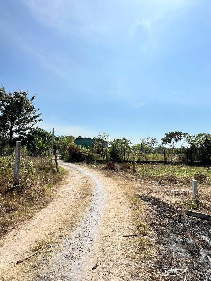 Đất nền Ấp Thuận Hòa, Bến Cầu, Tây Ninh 399m² giá 320 triệu - Đầu tư sinh lời ngay!