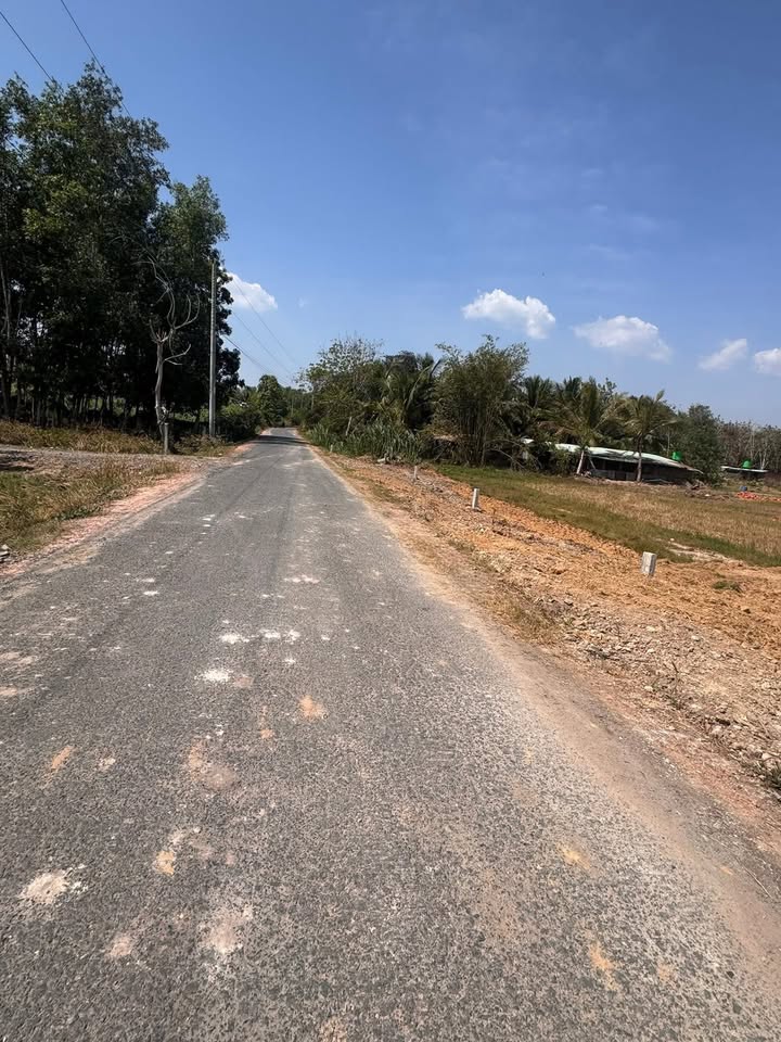 Đất nền Hảo Đước Châu Thành 500m² giá 530 triệu - Đầu tư sinh lời ngay!