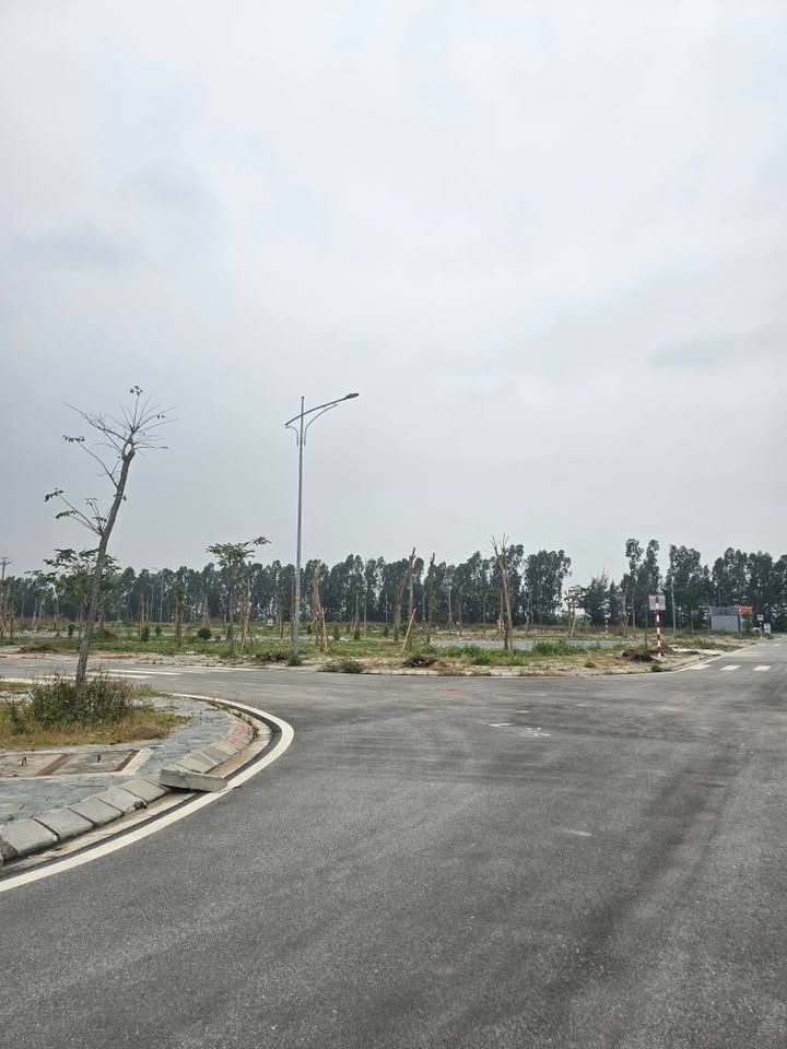 Đất nền góc 77.5m² Khu đấu giá Tân Dân, Hải Dương - Giá tốt chỉ 3 tỷ!