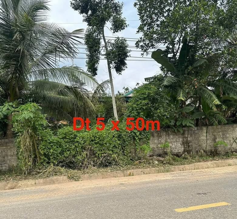 Đất thổ cư 275m² bám đường nhựa tại Kiên Thọ - Giá siêu rẻ!