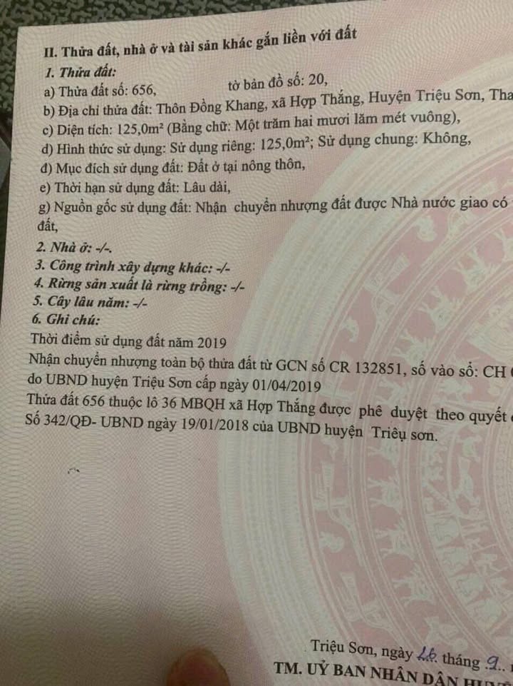Đất nền Xã Hợp Thắng - 125m² chỉ 1.2 tỷ - Tiềm năng đầu tư lớn!