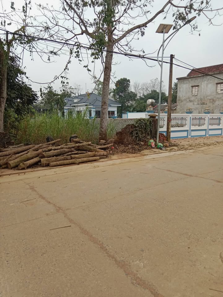 FrontHouse tại Xã Lam Sơn, Huyện Ngọc Lặc, 175m² - Cơ hội đầu tư không thể bỏ qua!