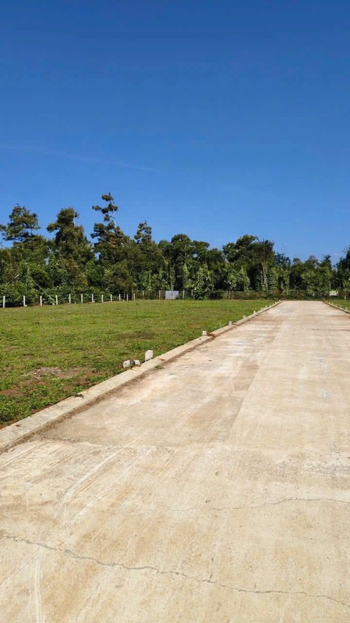 Đất nền Tara, Tạ Quang Bửu, 125m² giá chỉ 6xx triệu - Sổ đỏ chính chủ!