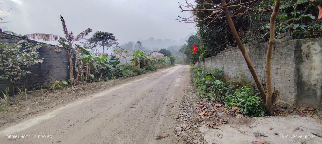 Đất nền Lương Sơn Hòa Bình 5.076m² giá 4 tỷ - Đầu tư sinh lời hấp dẫn!