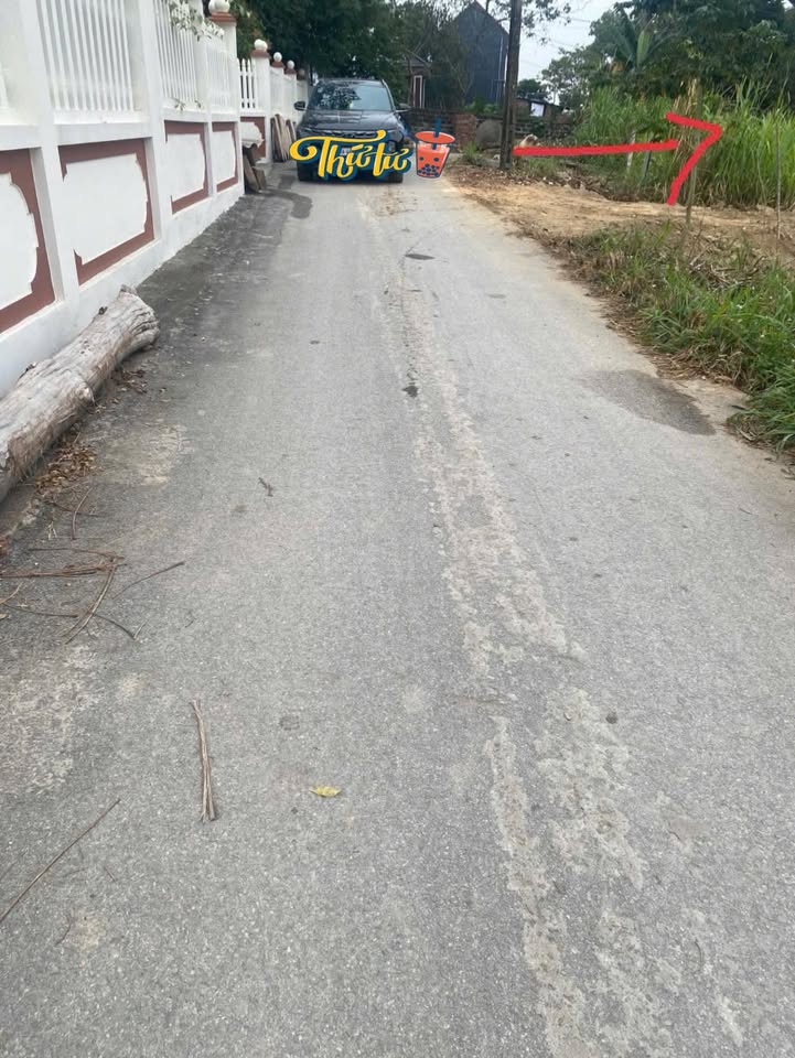 Đất nền Đồng Tĩnh, Tam Dương 122m² giá chỉ 600 triệu - Cơ hội đầu tư hấp dẫn!