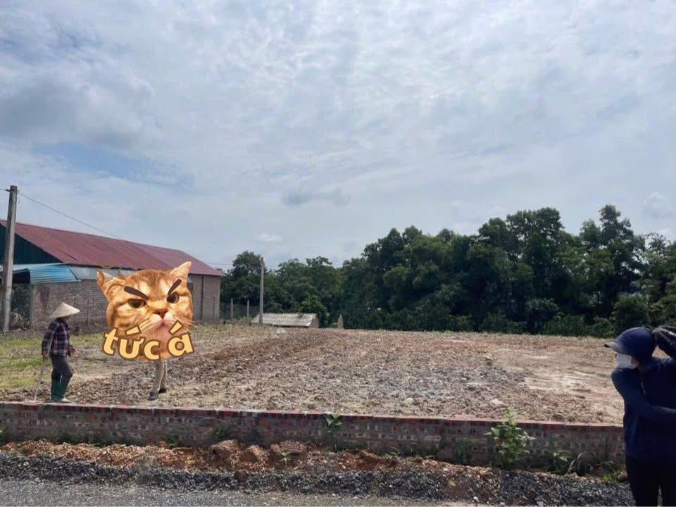 Đất nền Cẩm Lĩnh, Ba Vì 2000m² giá 6 tỷ - Đầu tư lý tưởng!