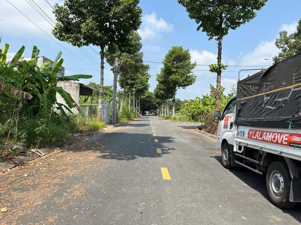 Đất nền 115m² ngay Trung Tâm Thương Mại Lấp Vò - Giá 1.15 tỷ - Cơ hội đầu tư hấp dẫn!