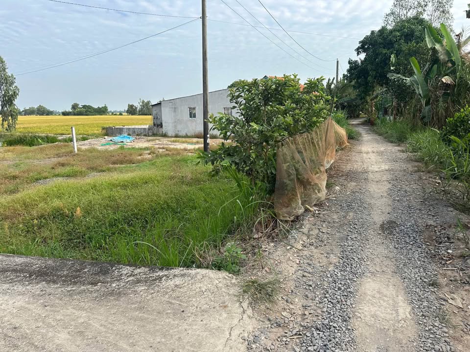 Đất nền Phường Mỹ Ngãi, Đồng Tháp 650m² giá 520 triệu - Cơ hội đầu tư hấp dẫn!