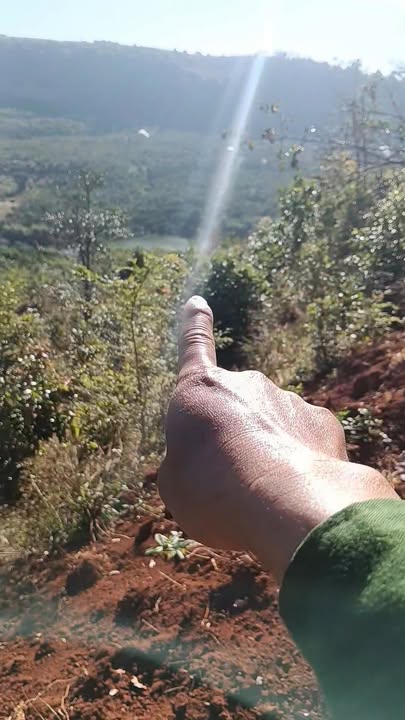 Đất nền 1.4ha tại xã Quảng Tâm, Tuy Đức, Đắk Nông giá 399 triệu - Cơ hội đầu tư hấp dẫn!