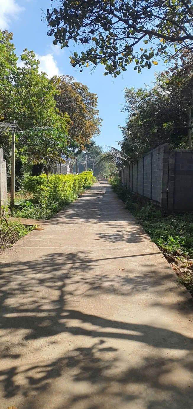 Đất nền Buôn Tuôr Hòa Phú 348m² giá 1.6 tỷ - Cơ hội đầu tư tuyệt vời!