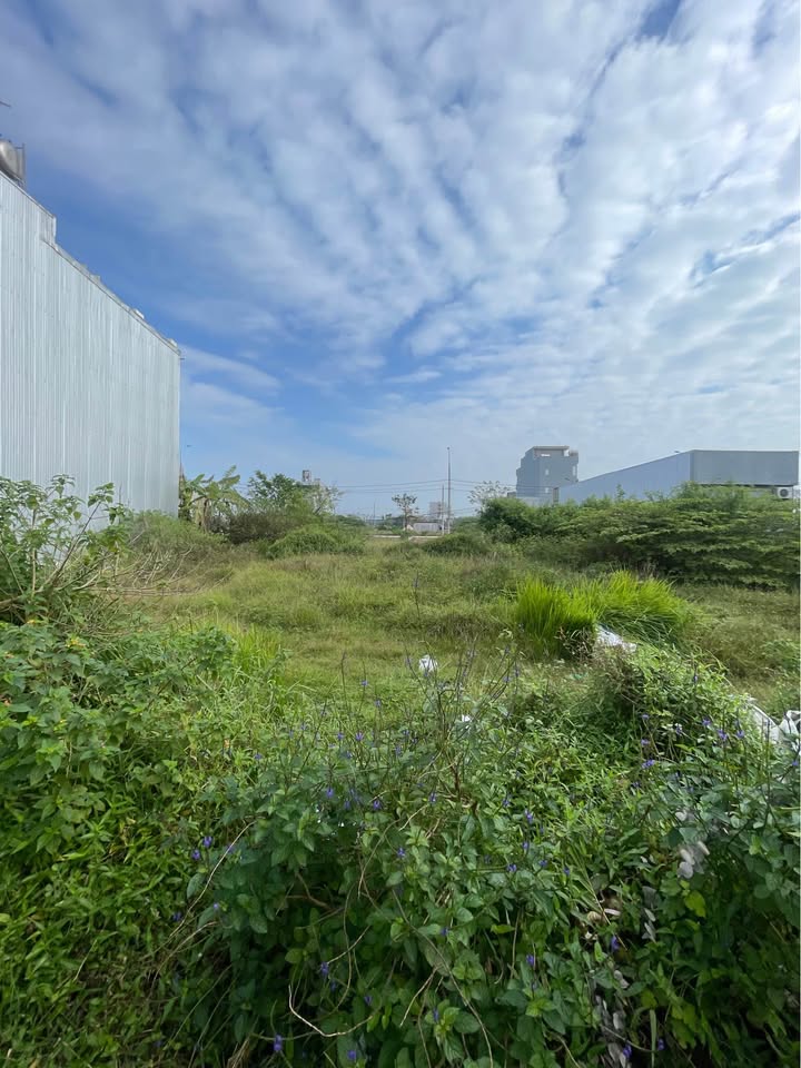 Đất nền Ngũ Hành Sơn 125m² giá 6.6 tỷ - Tiềm năng sinh lời vượt trội!