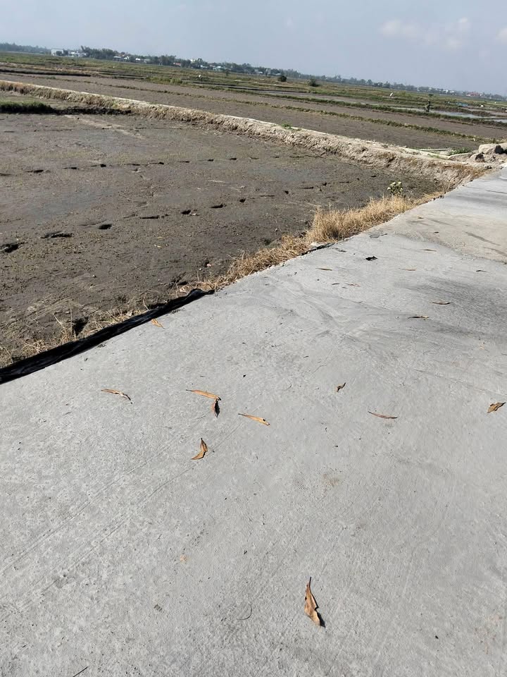 Đất nền mặt tiền đường Trần Nhân Tông, 435m², giá chỉ 1 tỷ - Đầu tư sinh lời ngay!