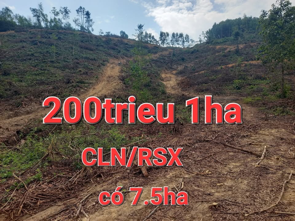 Đất nông nghiệp 7.5ha tại Đức Bình Đông, Phú Yên - Giá chỉ 15 tỷ