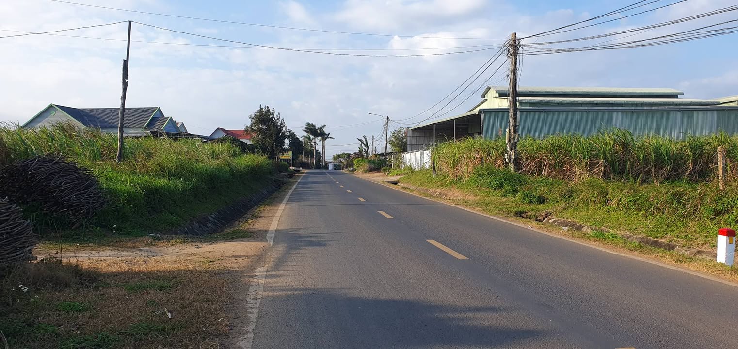 Đất nền tại Huyện M'Đrắk, Đắk Lắk 1000m² - Đầu tư sinh lời ngay!