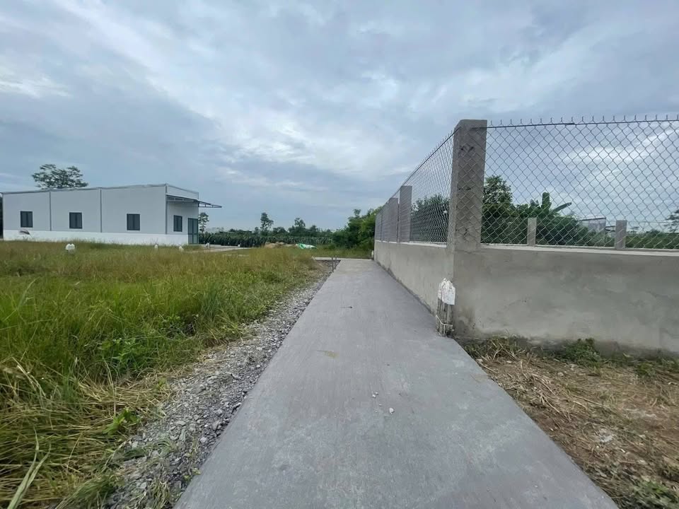 Nhà đẹp Ấp Bắc 2 - Tân Điền 125m² giá 450 triệu - Sổ hồng sẵn, gần chợ!