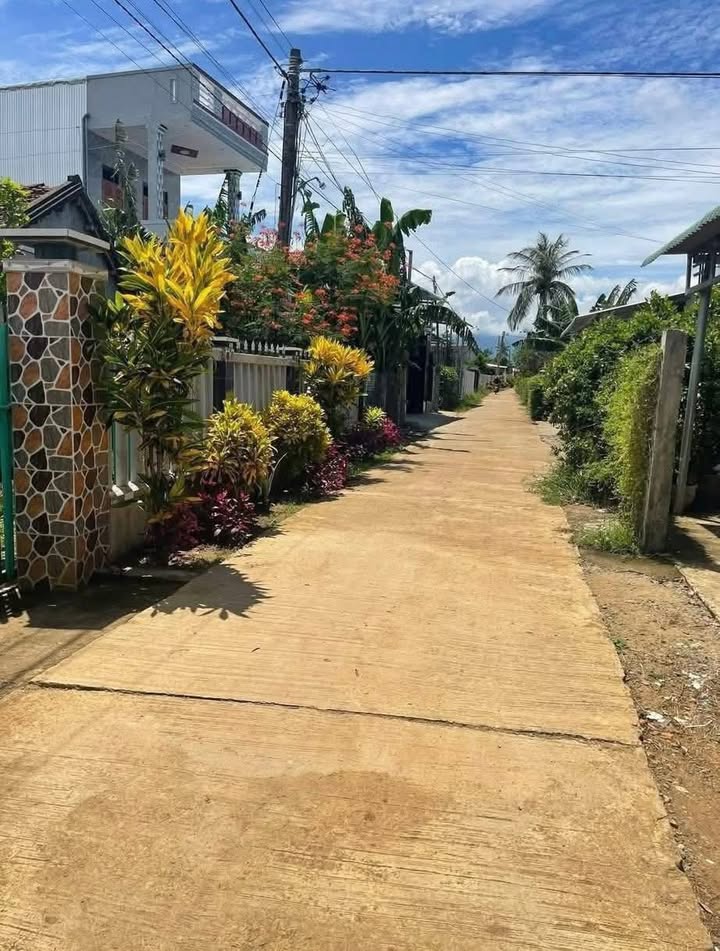 Đất thổ cư 161m² tại Sơn Thành Tây, Phú Yên - Giá chỉ 400 triệu!