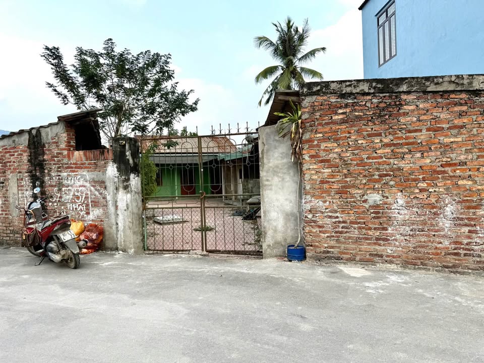 Đất ở Thôn Lưu Quang, Minh Quang, Tam Đảo 421,7m² giá chỉ 2 tỷ - Nhà cấp 4 tặng kèm!