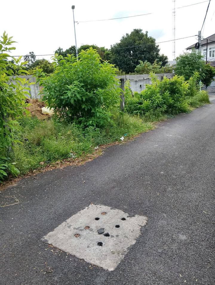 Đất thổ cư mặt tiền gần biển Long Hải 62m² giá 1.4 tỷ - Đầu tư sinh lời ngay!