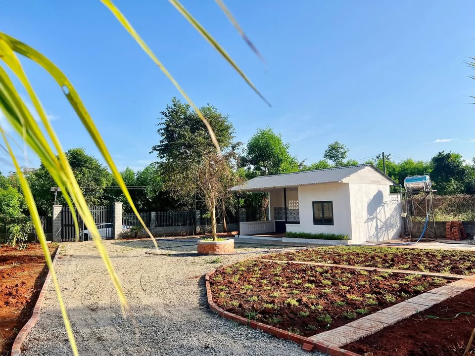 Farm đất vườn Long Phước 1000m² giá 3.8 tỷ - Không thể bỏ lỡ!