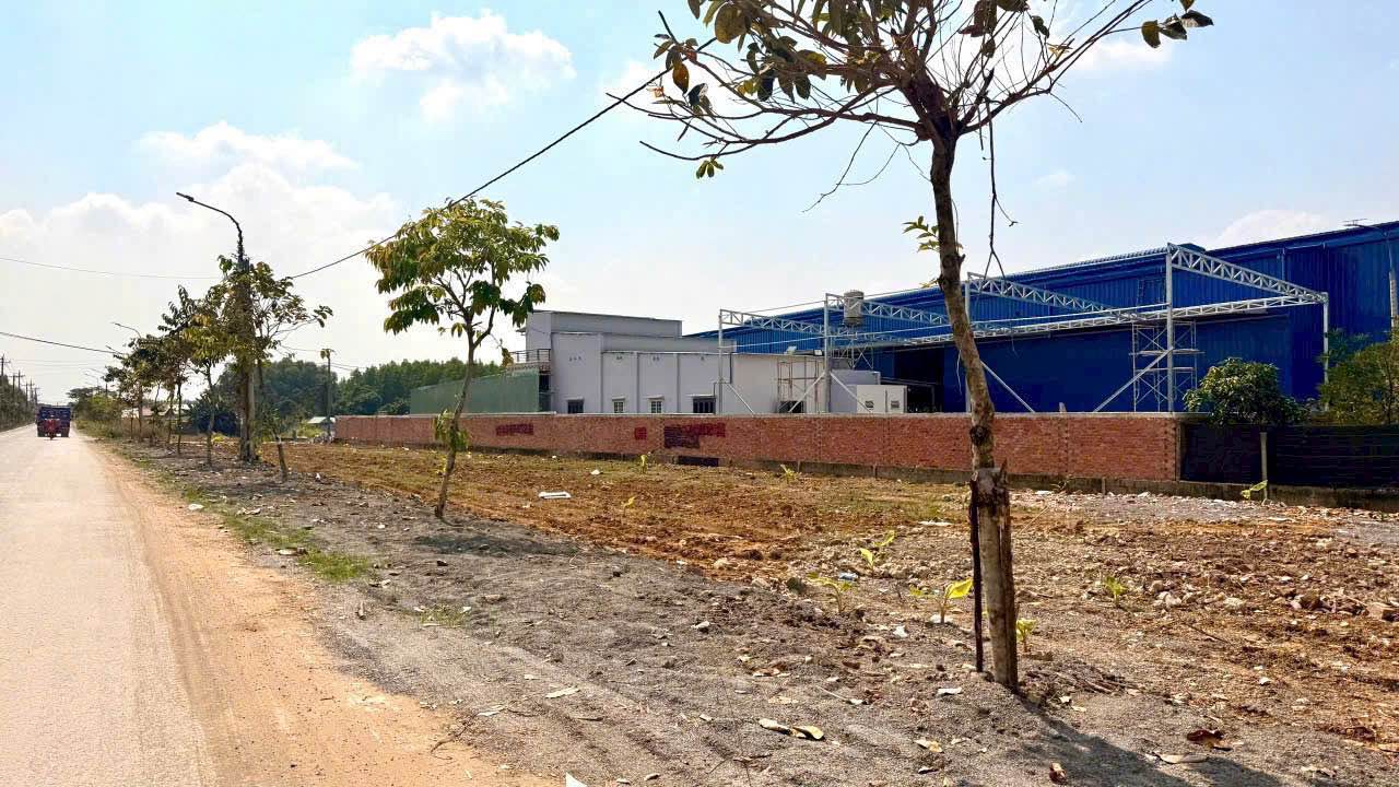 Bán mặt tiền đường nhựa HL15 Thạnh Phú 137m² giá 1 tỷ - Vị trí kinh doanh sầm uất!