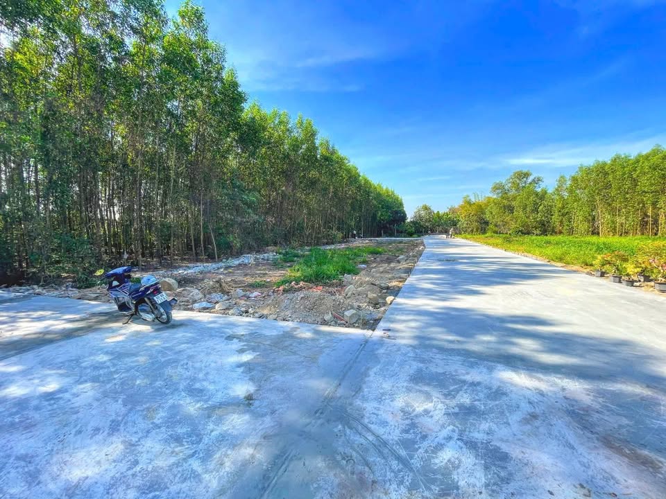 Lô đất góc Tân Triều 95m² giá chỉ 1 tỷ - Cơ hội vàng cho nhà đầu tư!