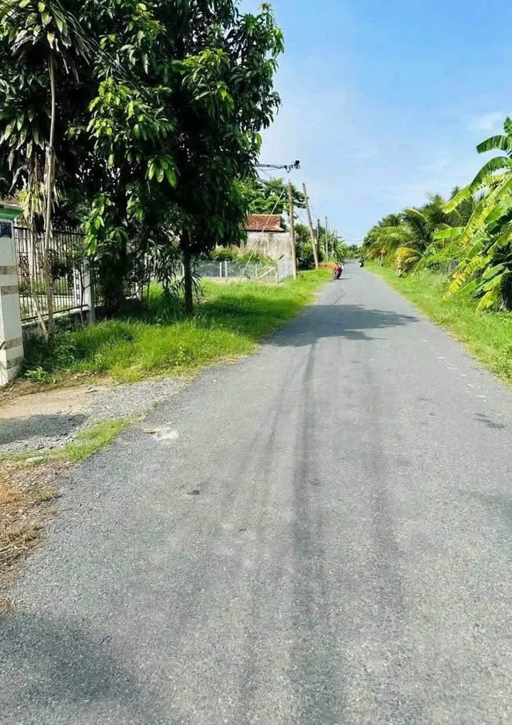 Nhà cấp 4 mặt tiền Nguyễn Kim Công, Tân An, 430m² - Chính chủ bán gấp!