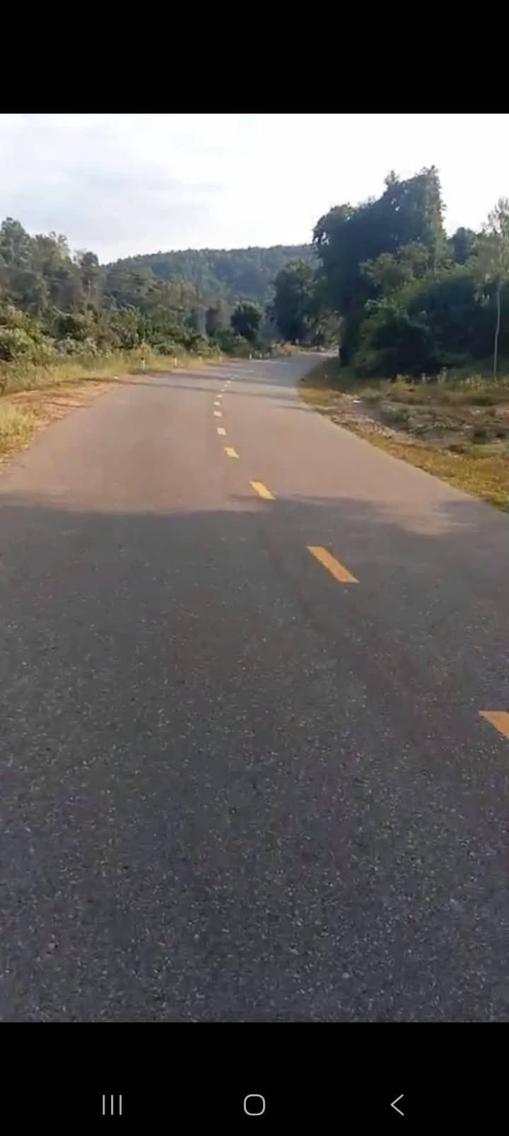 Đất cây trồng 1,1 mẫu tại Thuận Hòa, Bình Thuận giá 3 tỷ - Mặt tiền QL28 thuận lợi!