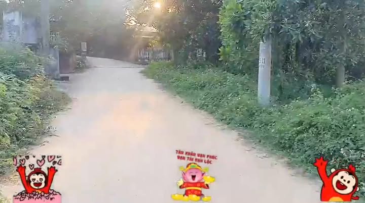 Đất nền Huyện Tam Dương 182m² giá 2.366 tỷ - Đầu tư sinh lời ngay!