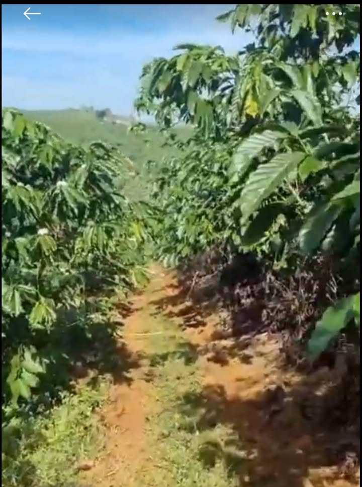 Đất nền Bảo Lộc 5760m² giá 1.1 tỷ - Đầu tư sinh lời ngay!