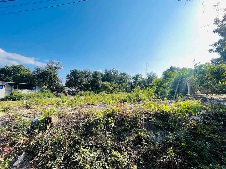 Đất nền Cam Thành Bắc, Cam Lâm 670m² - Giá thỏa thuận, cơ hội đầu tư tuyệt vời!