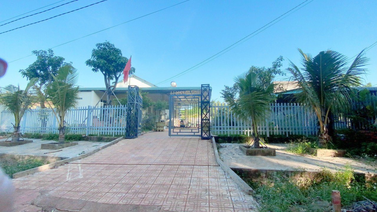 Nhà cấp 4 Tiến Thành Đồng Xoài 800m² giá 3 tỷ - Thiết kế hiện đại, tặng nội thất cao cấp!