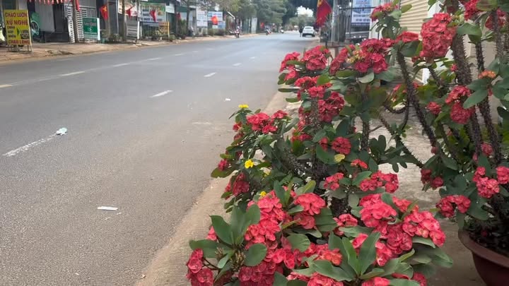 Đất thổ cư 100% mặt tiền đường Y Wang, 243m² giá 4.15 tỷ - Cơ hội đầu tư tuyệt vời!