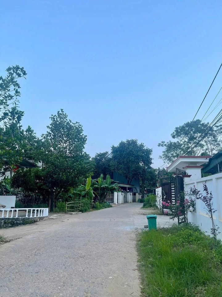 Đất thổ cư Tổ dân phố 8 An Tường 214m² giá 1 tỷ - Đường rộng ô tô vào tận nơi!