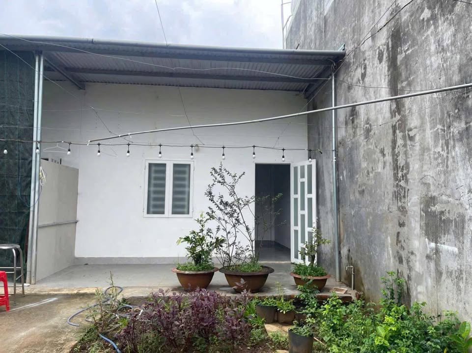 Nhà cấp 4 phường Phước Tân 80m² giá chỉ 650 triệu - Sẵn sàng ở ngay!