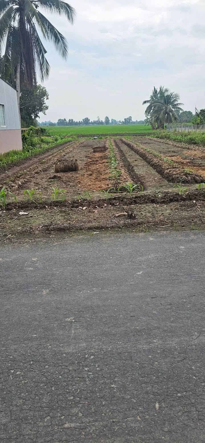 Đất nền mặt tiền xã Vĩnh Hòa, Huyện U Minh Thượng 150m² giá 6.175 tỷ - Sổ hồng chính chủ!