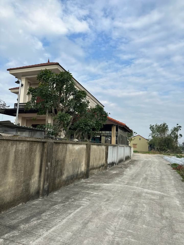 Đất nền Nghi Phú, đường Chu Trạc, 71m² giá 2 tỷ - Cơ hội đầu tư tuyệt vời!