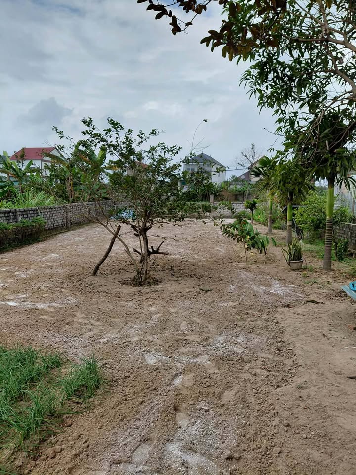 Đất nền ven biển Nghi Xuân 126m² giá thỏa thuận - Cơ hội đầu tư tuyệt vời!