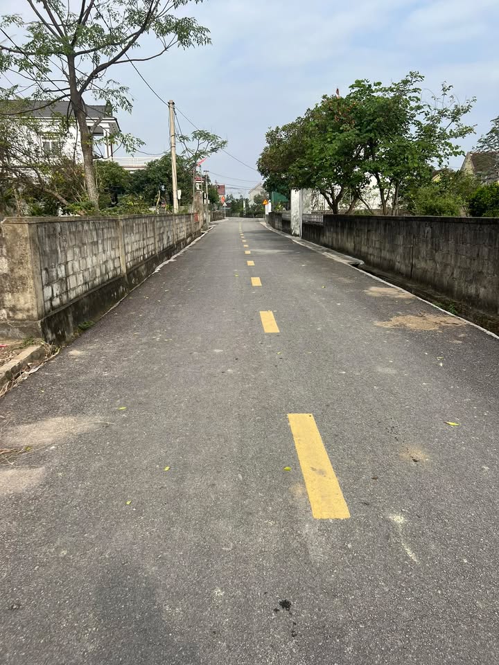 Lô đất đấu giá thôn 4 Cổ Đạm 279m² giá 2 tỷ - Cơ hội đầu tư hiếm có!