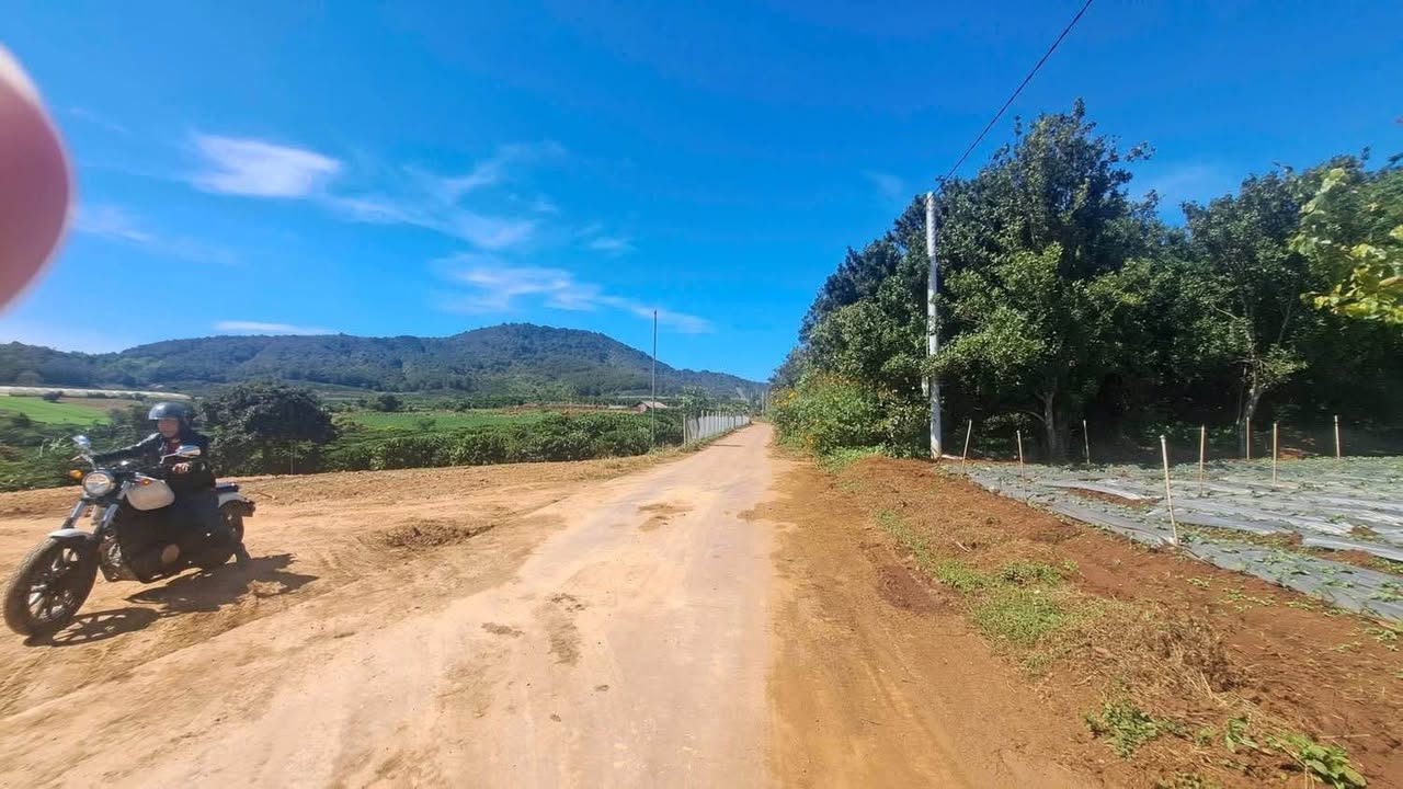 Đất thổ cư Liên Hiệp 250m² giá chỉ 1.09 tỷ - Đầu tư sinh lời ngay!