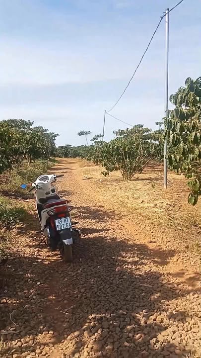 Đất nền Bảo Lâm 10.800m² giá 1.74 tỷ - Sổ đỏ chính chủ, ô tô vào tận nơi!