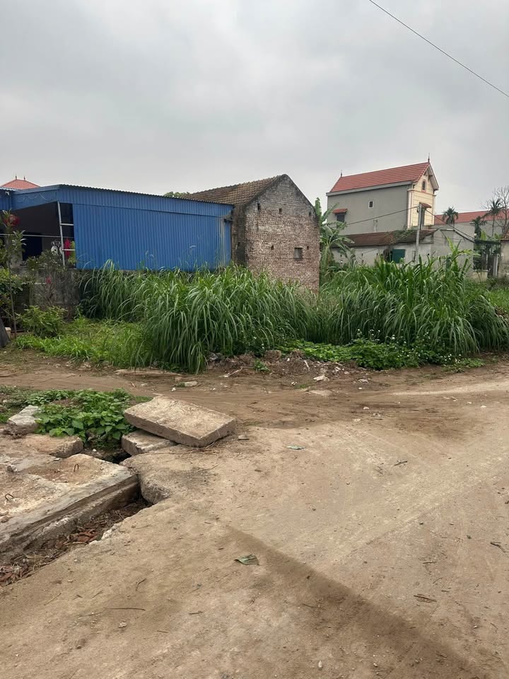 Đất nền thôn Dân Cư Mới Tân Mỹ 1 - 177.3m² chỉ 2 tỷ - Lô góc hai mặt tiền đẹp!