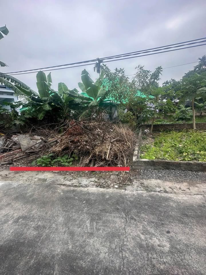 Đất nền 74.5m² tại Tổ dân phố Dụ Nghĩa, An Phong - Giá chỉ 800 triệu - Vị trí đắc địa!