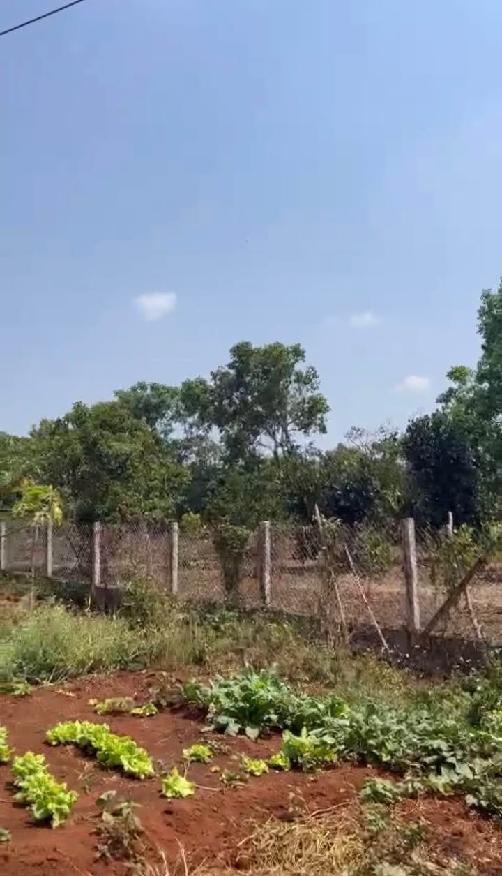 FrontHouse Quốc Lộ 14, Xã Ea Tu, 637m² giá 4.48 tỷ - Cơ hội đầu tư hấp dẫn!