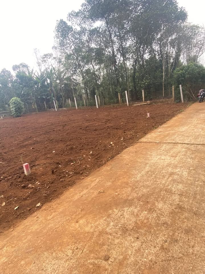 Đất nền Thị Trấn Hồ Xá 140m² giá 290 triệu - Cơ hội đầu tư tốt!