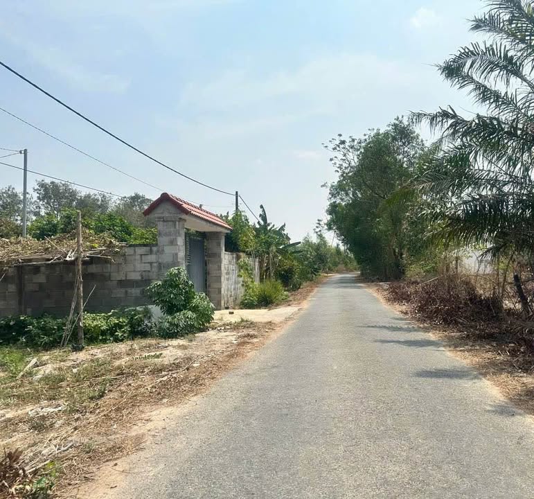 Đất nền 511m² tại Ấp 6 Tóc Tiên - Giá tốt, hướng Nam