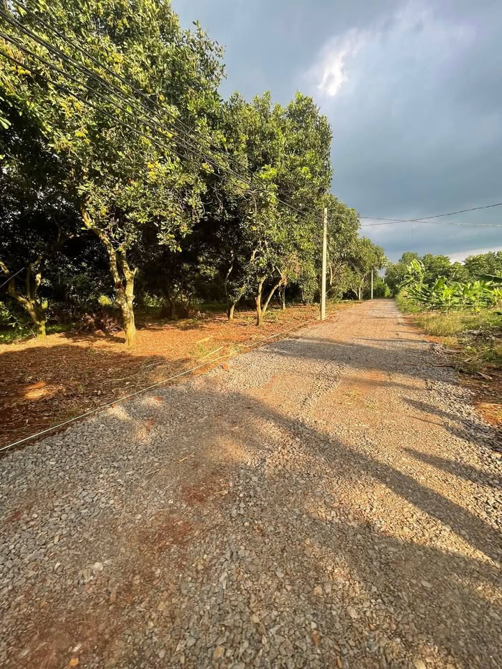 Đất nền 360m² xã Gia Tân 3, giá 750 triệu - Cơ hội đầu tư hấp dẫn!